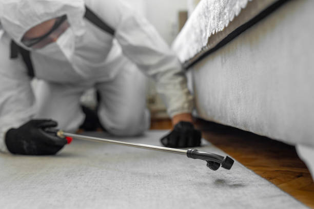 Professional Bed Bug Control technician working in Harford County County, MD